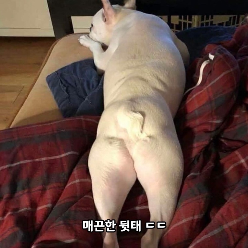 눈을 어디에 둬야 할지..