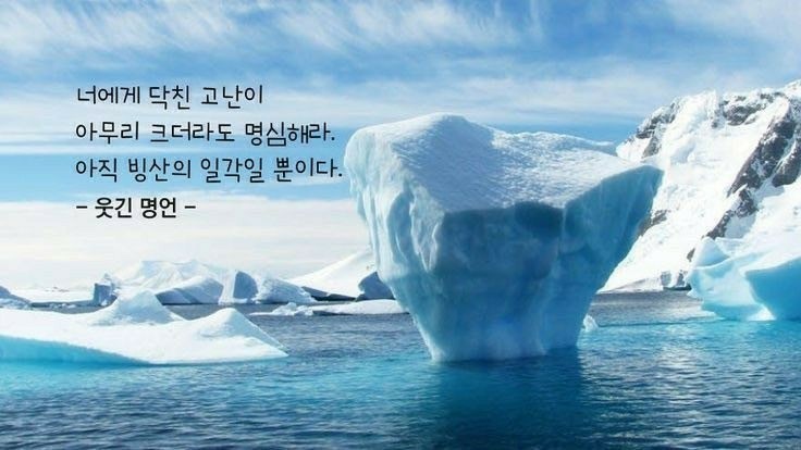 웃긴 명언