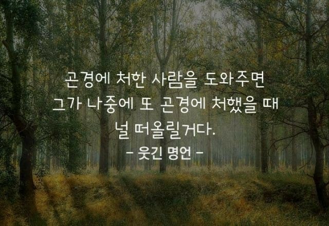 웃긴 명언