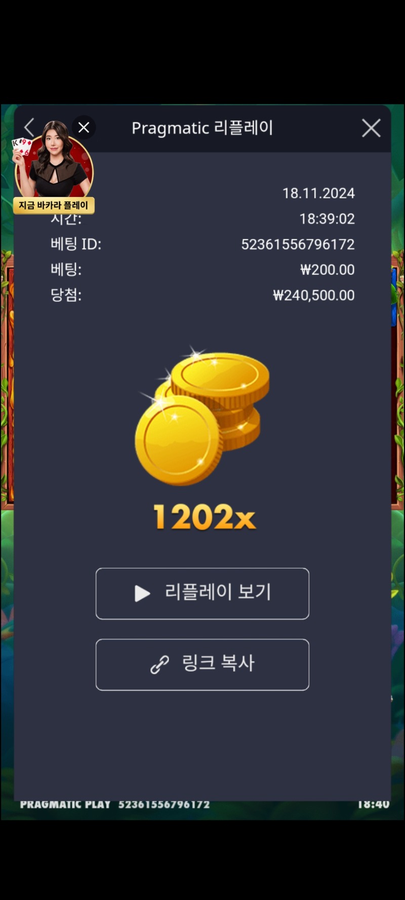 3버징 1202