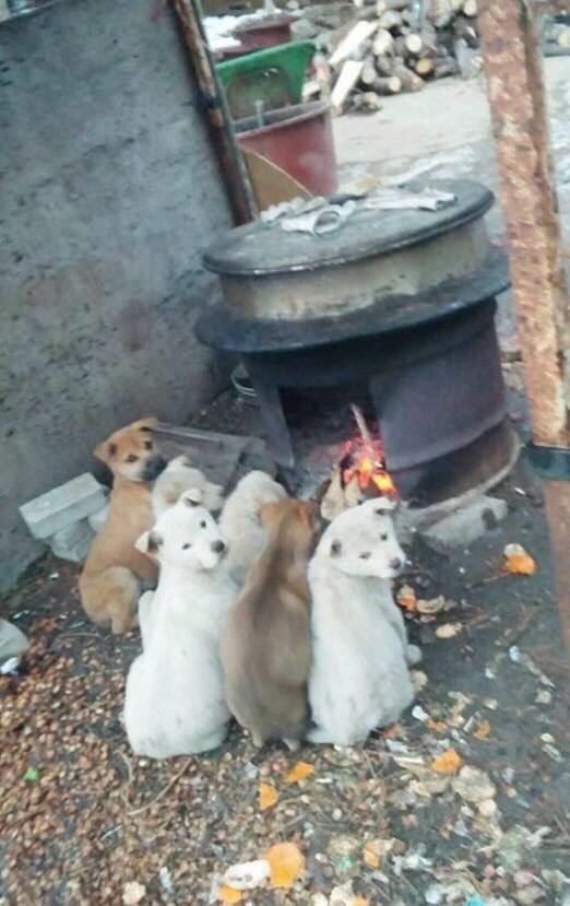 날이 추워요 오늘도 고생하셨습니다