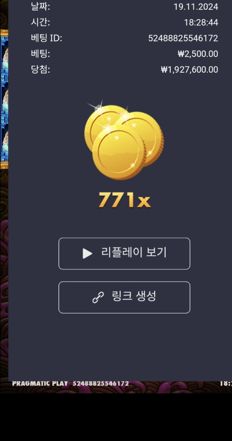 토라매 771