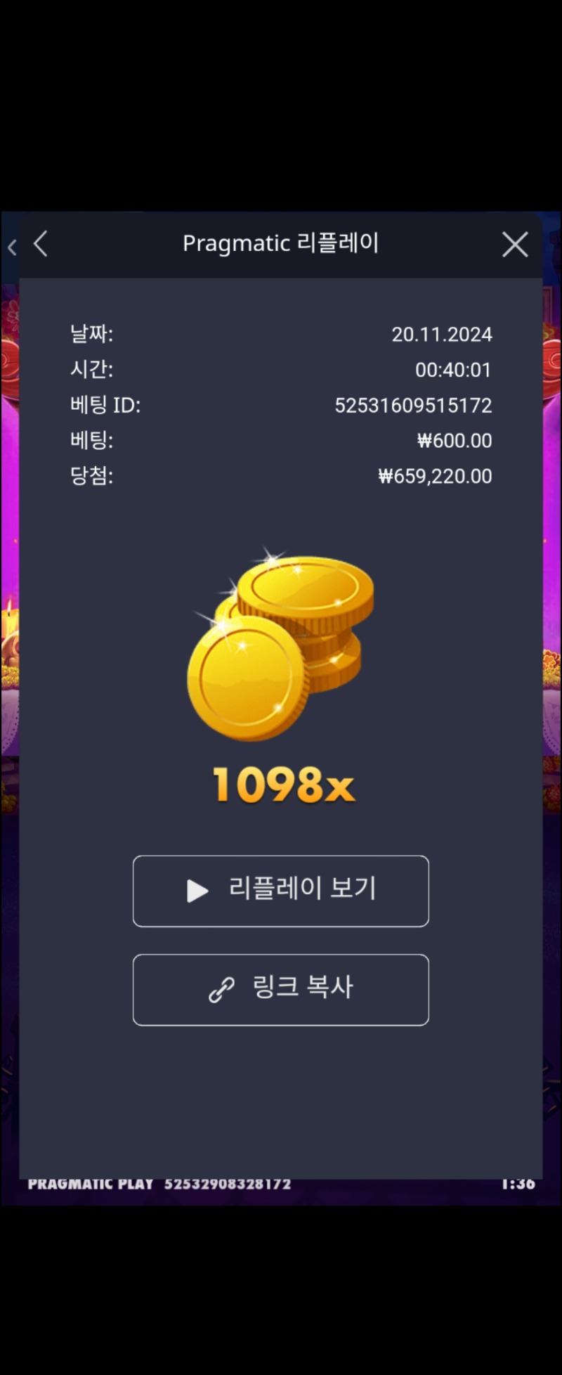 무에르 1098배