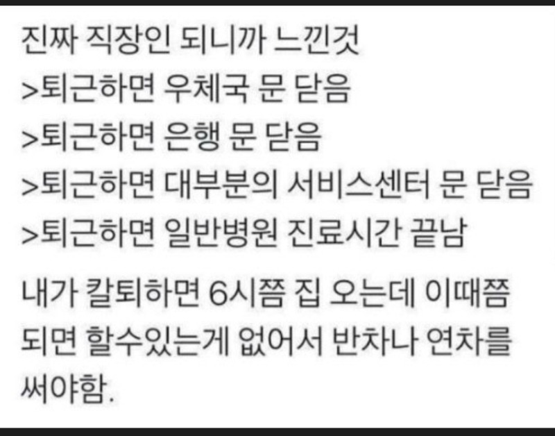 직장인의 현실.. 진짜 내 시간 없이 사는게 맞는 듯