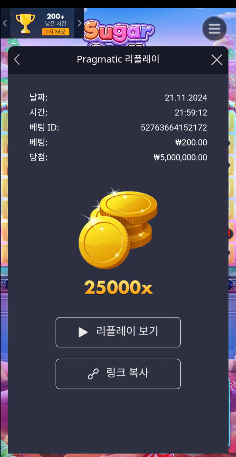 슈가1000  맥스 25000배