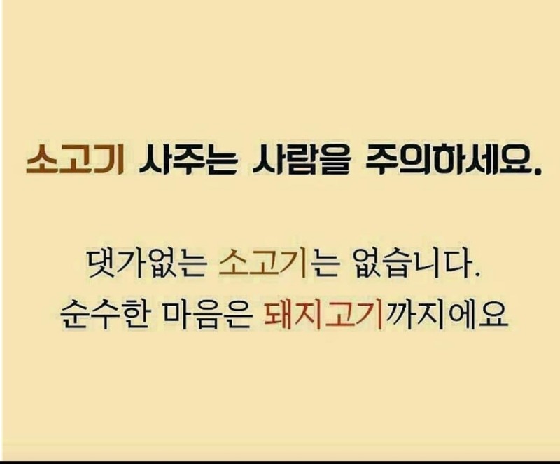 저는소고기를좋아하지만