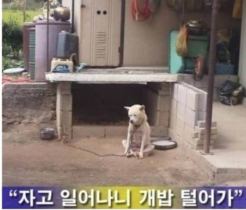 망연자실..ㅠㅠ