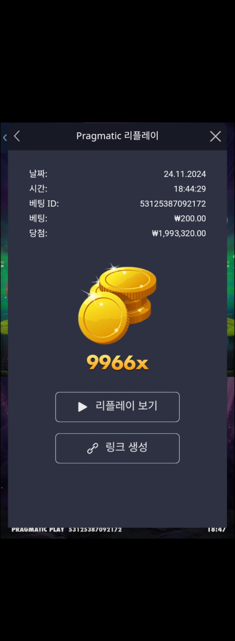 멀린 9966배