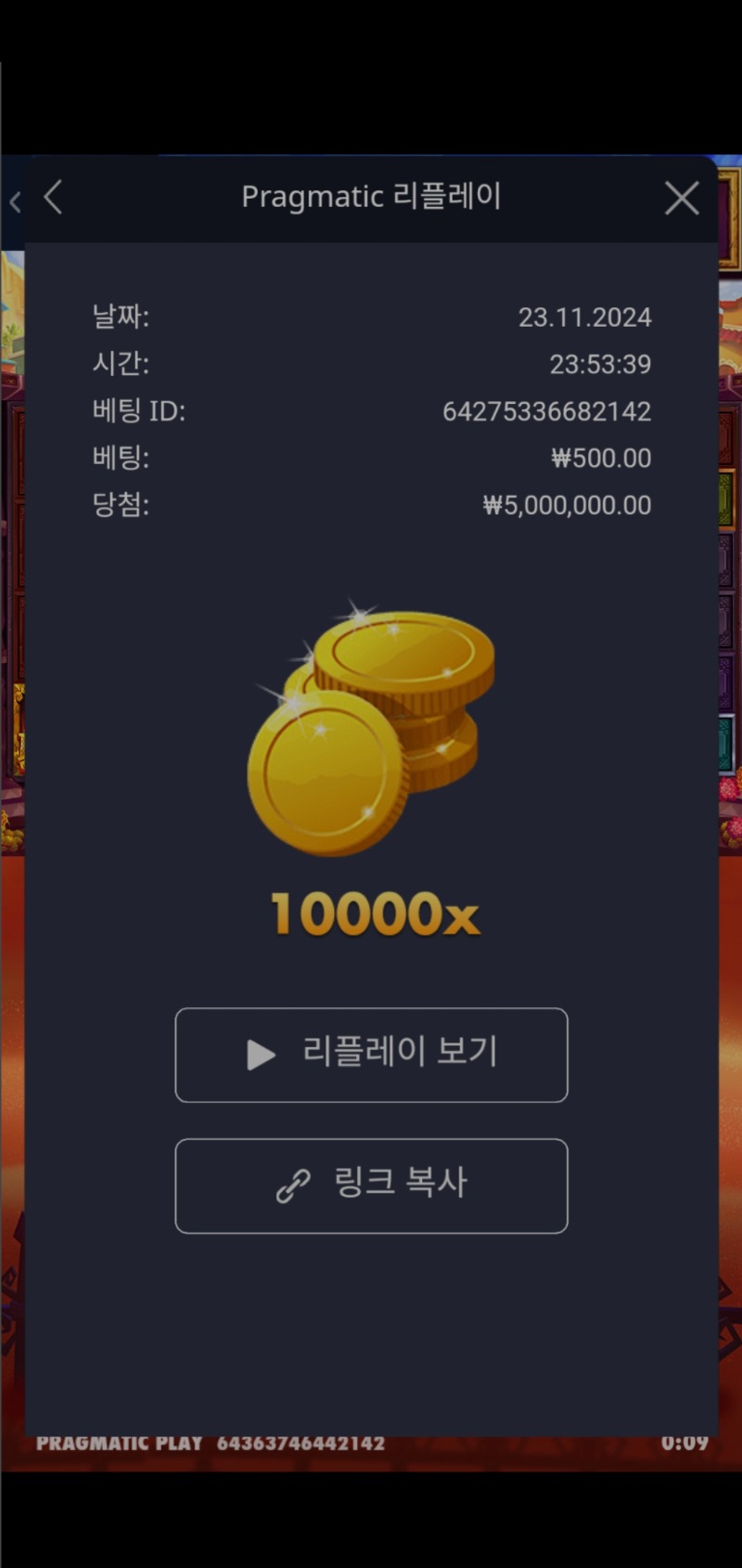 무에르토스 맥스 10000배