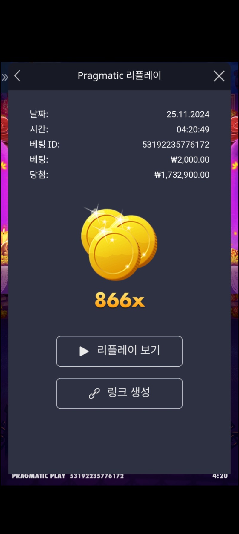 무에르 866배