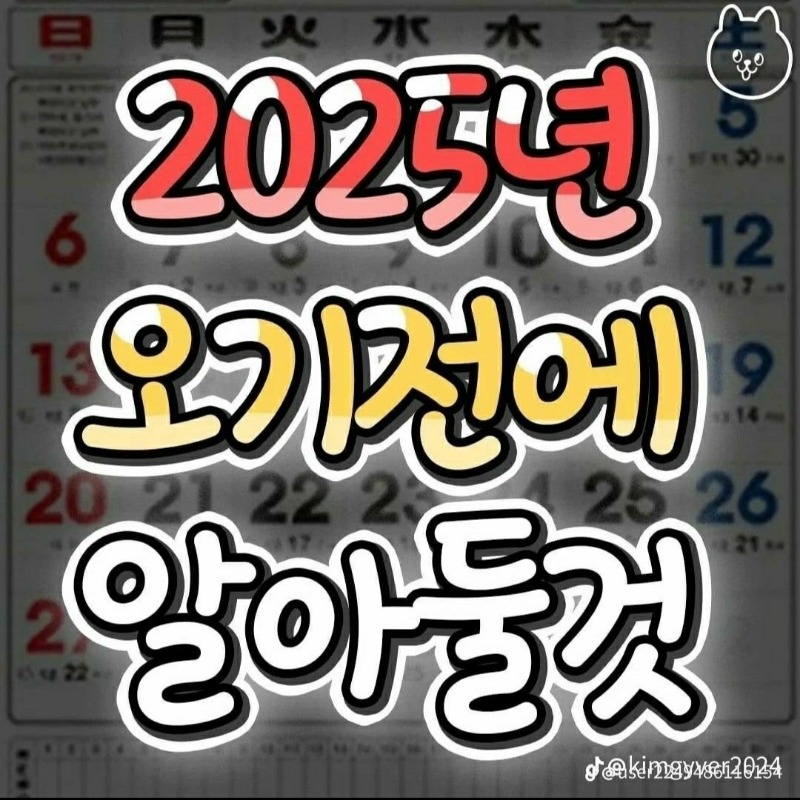 2025년도 휴일 준비하세요~