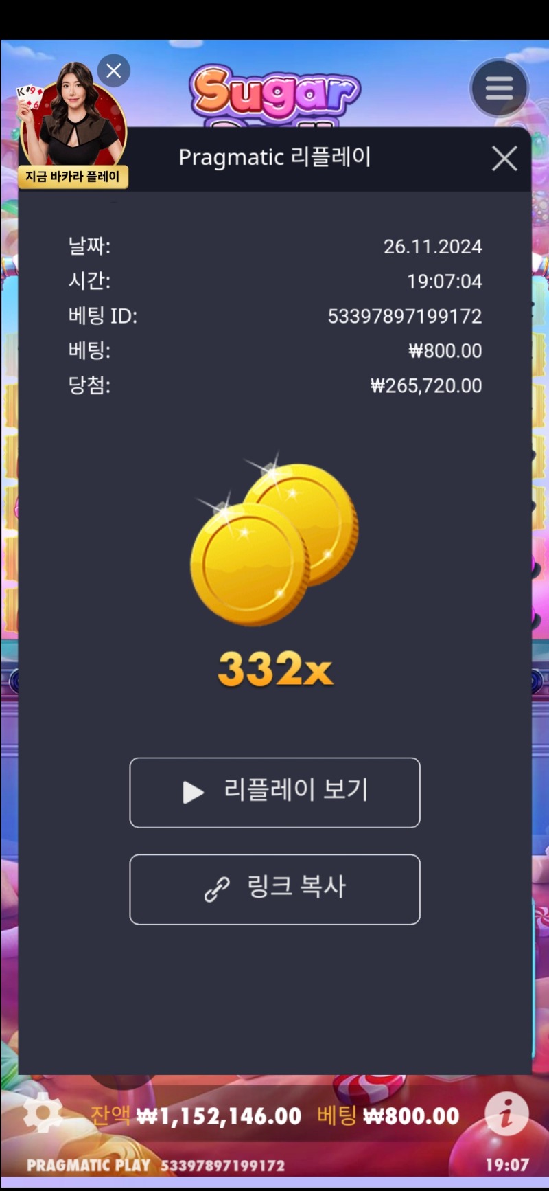 슈가1000 일반 332배