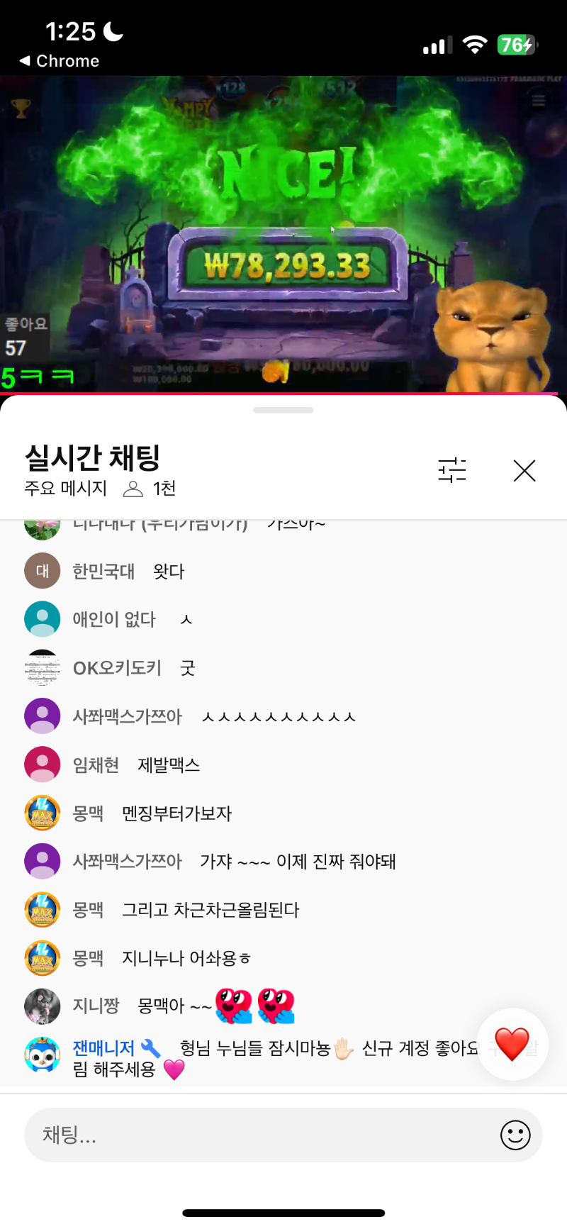 사자님 표정 ㅋㅋㅋㅋ