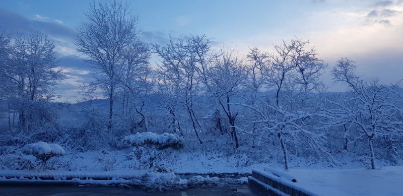 밤 사이 눈 내린거보소