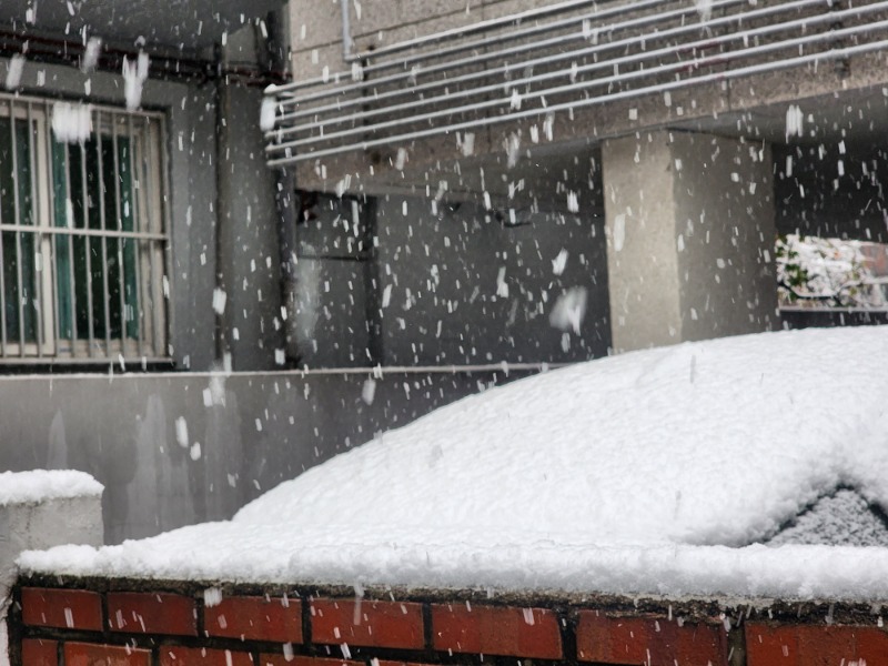 삐뽀삐뽀~~현제상항~~길조심 운전조심요