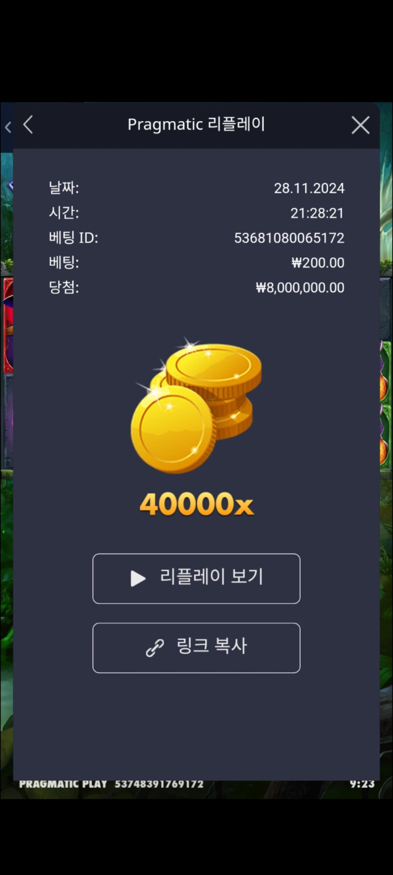 멀린40000배