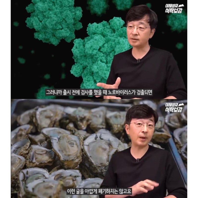 굴 살때 확인해야 하는 것