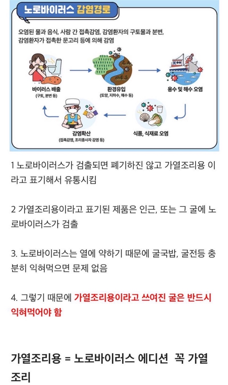 굴 살때 확인해야 하는 것