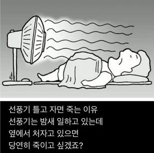 선풍기 틀고 자면 죽는 이유