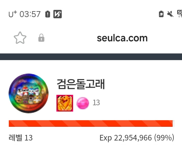 렙업전 99.9%~~^^