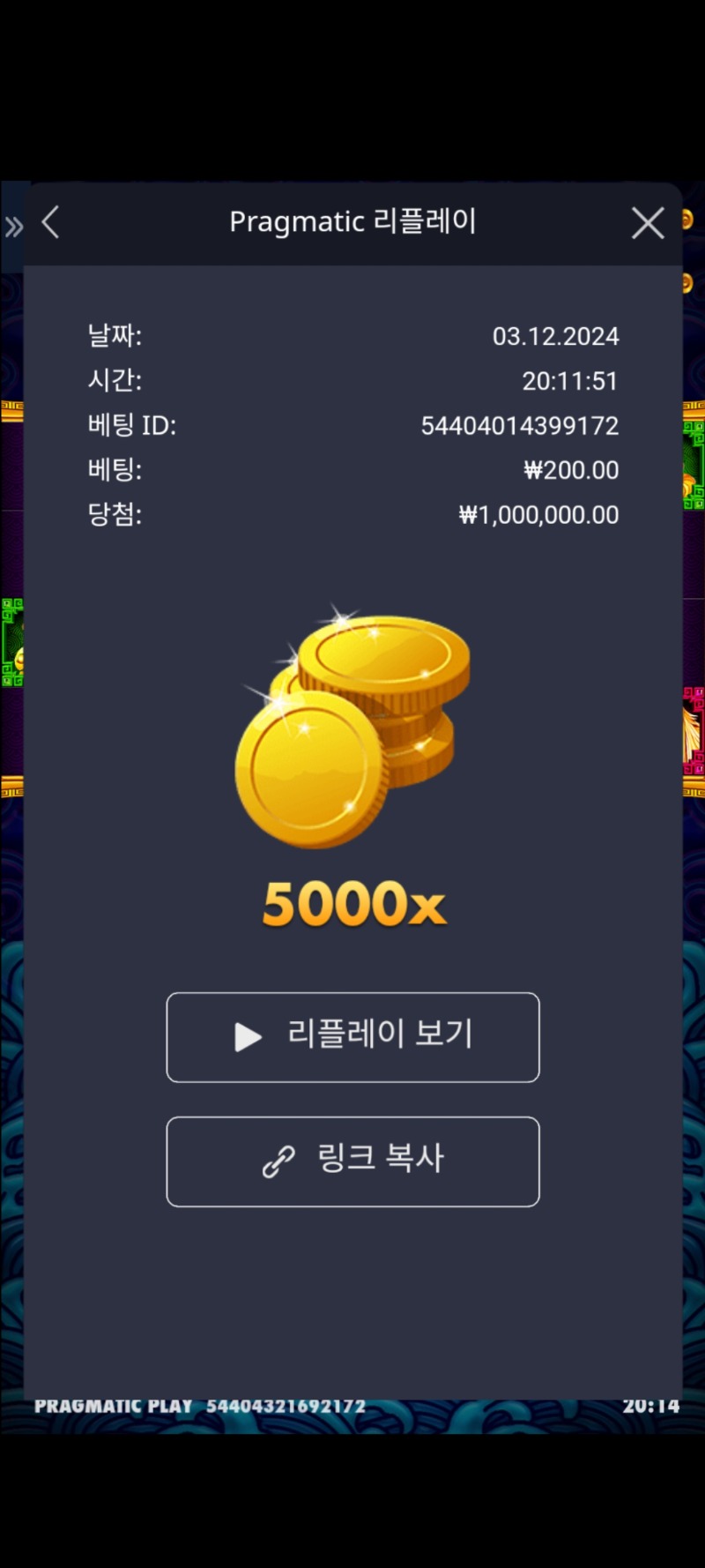 오라메 5000배