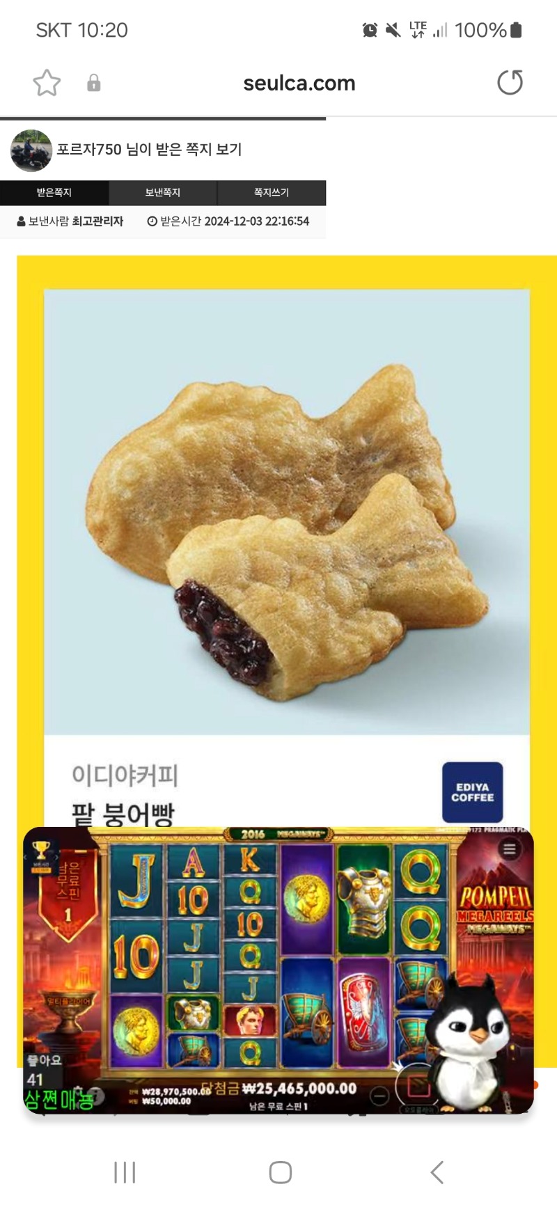 사자가 준 붕어빵  감사합니다