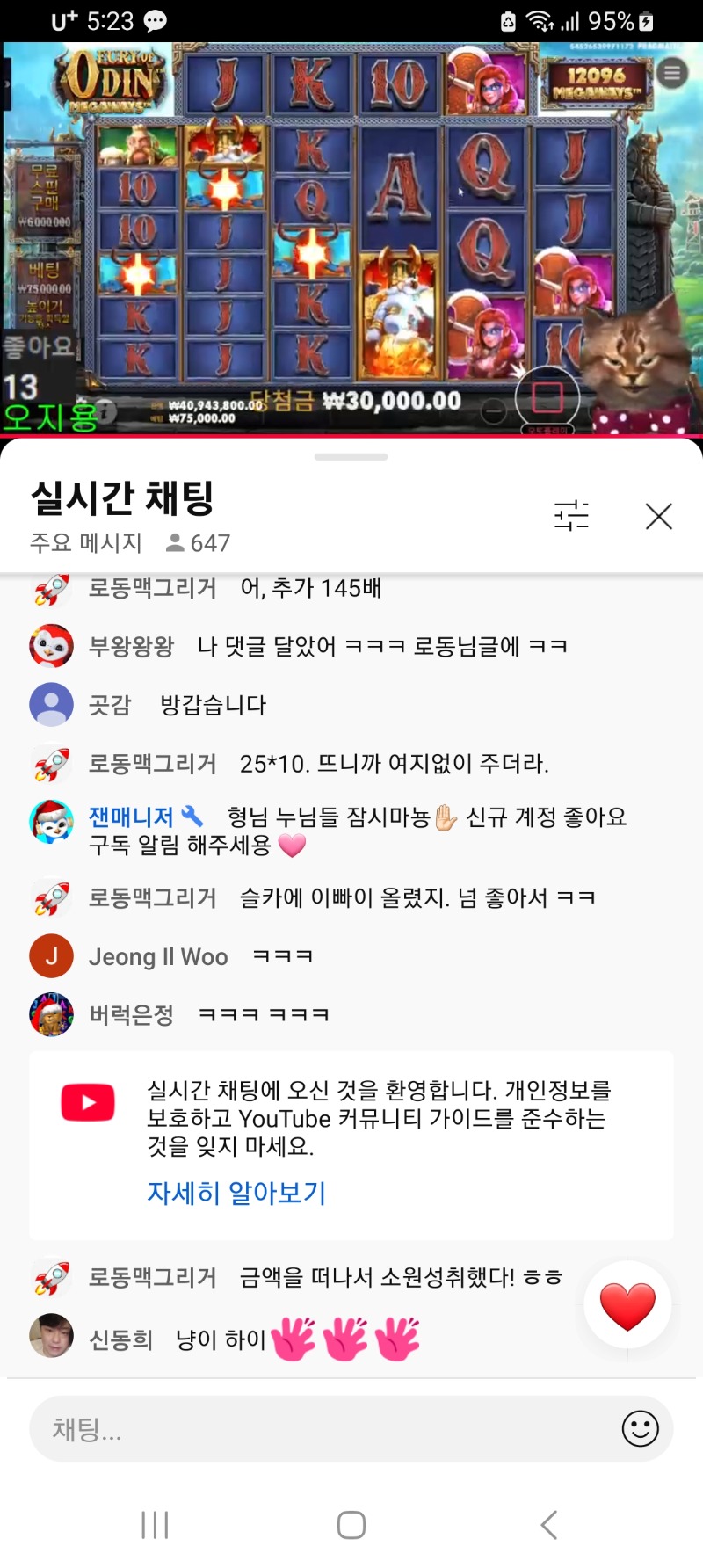 냥이.방송중입니다.시청 가짱!