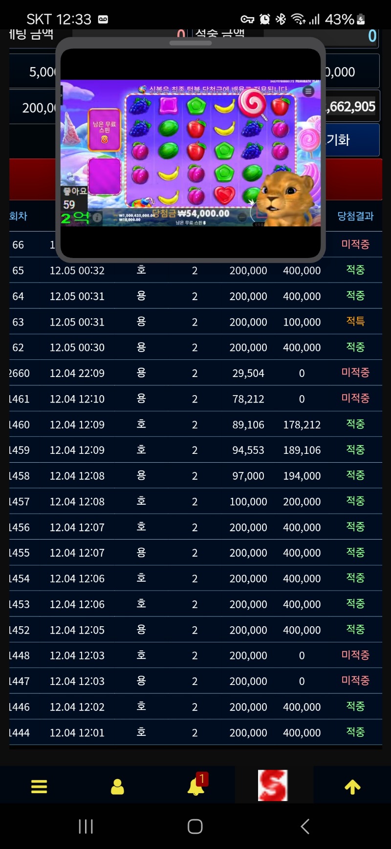 사자님방송보면서 슬용호