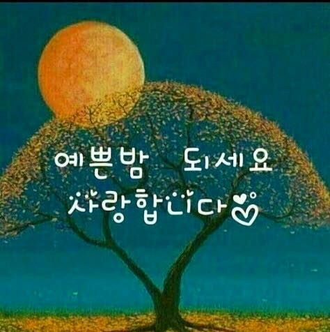 굿밤되세요