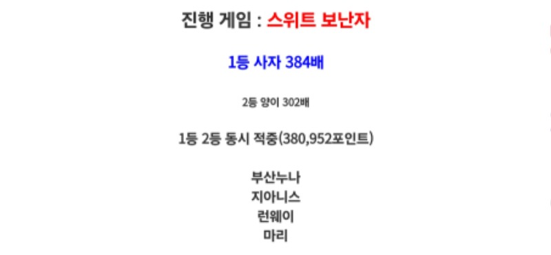 최배비 1,2등 모두 적중