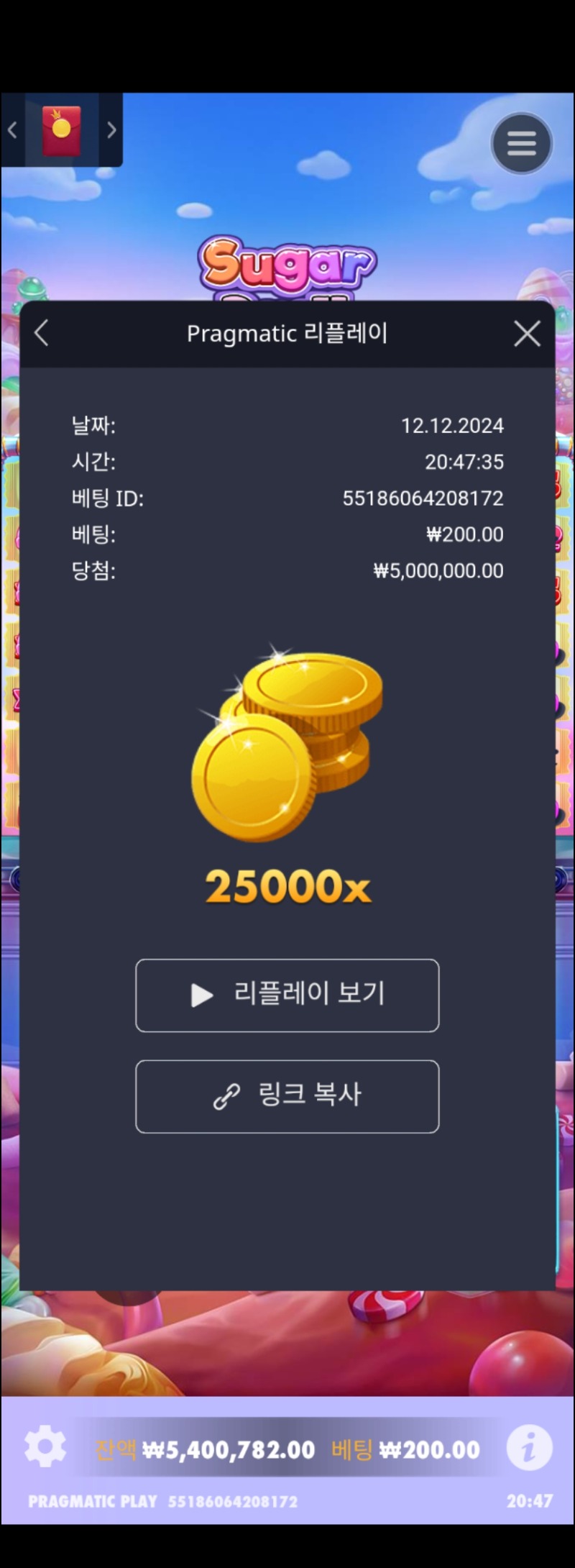 슈천 25000배