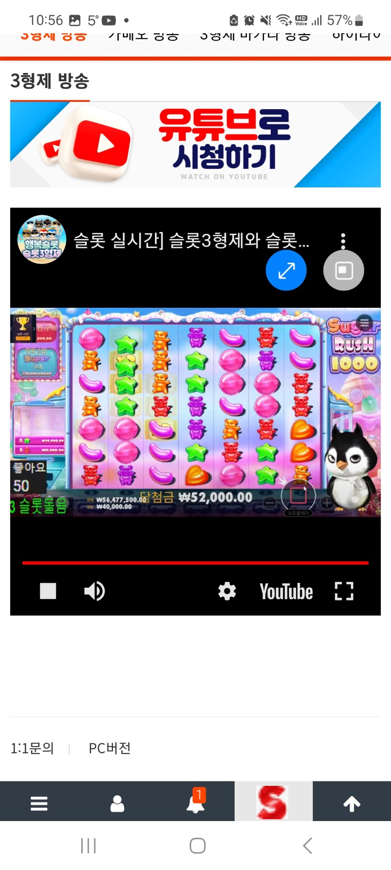 펭이 방송시청중