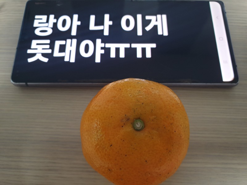 랑아~너때문에 내가