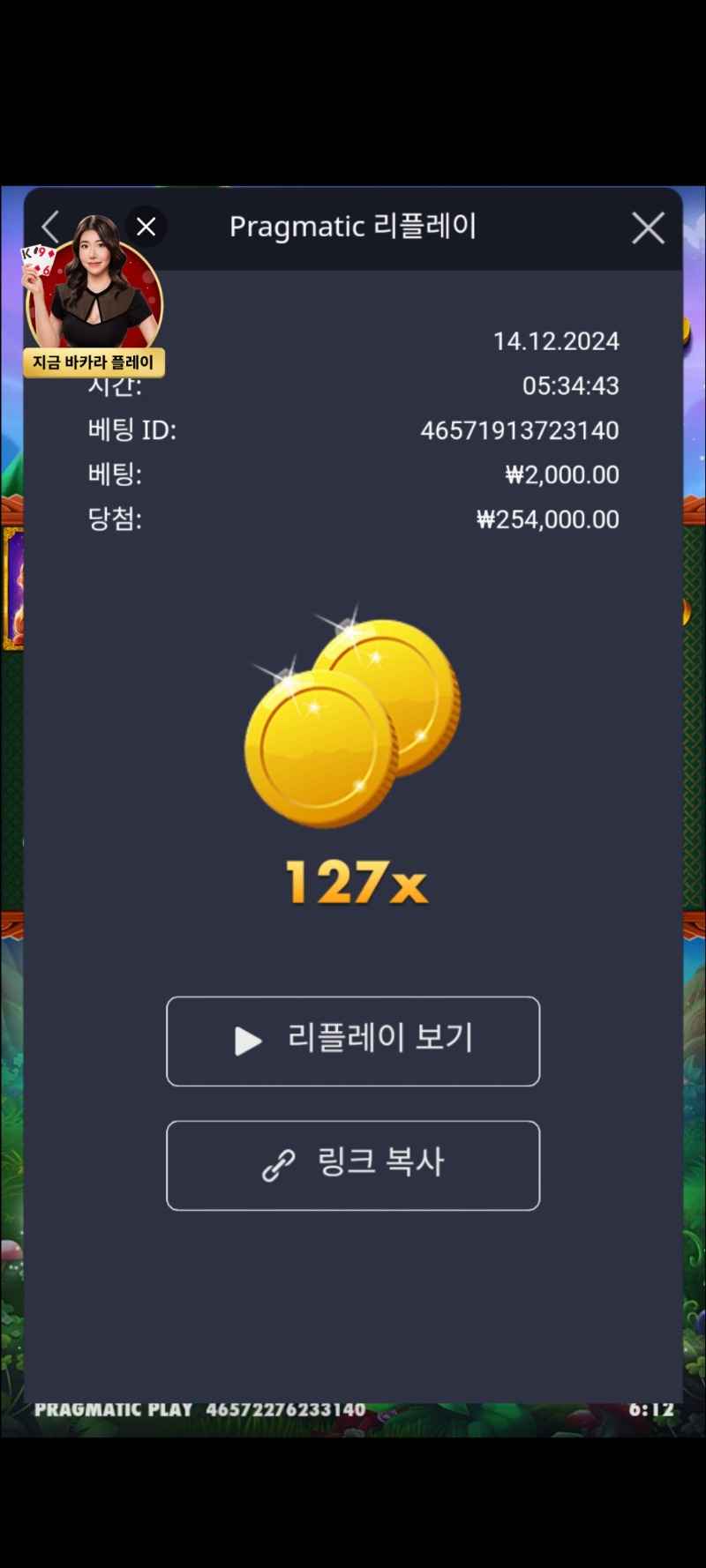 클로버골드 127배