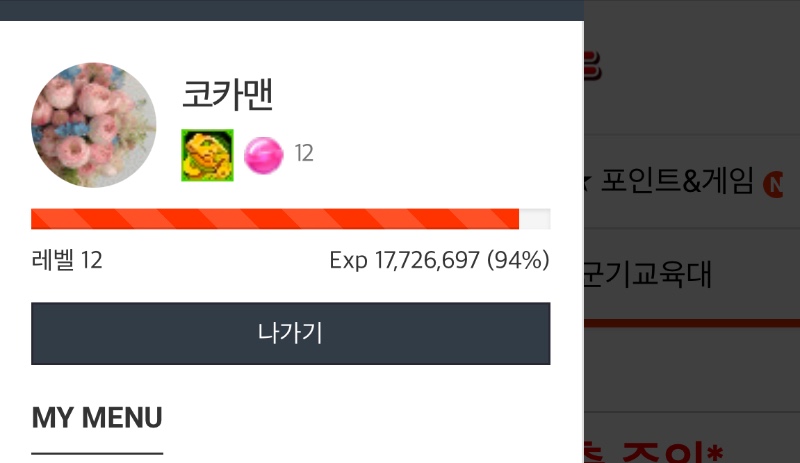 12레벨 94%까지...