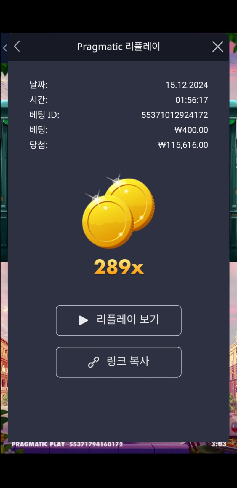 홀리데이 라이드 289배