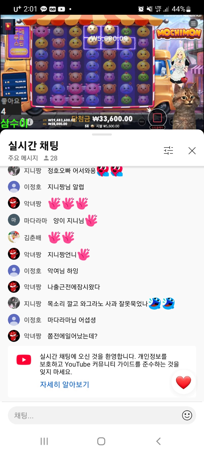 양형 방송 시작했네요!!