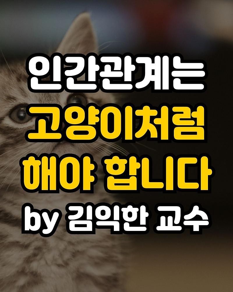 굿밤 ~인간관계는 양이 처럼!!