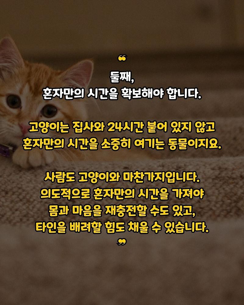 굿밤 ~인간관계는 양이 처럼!!