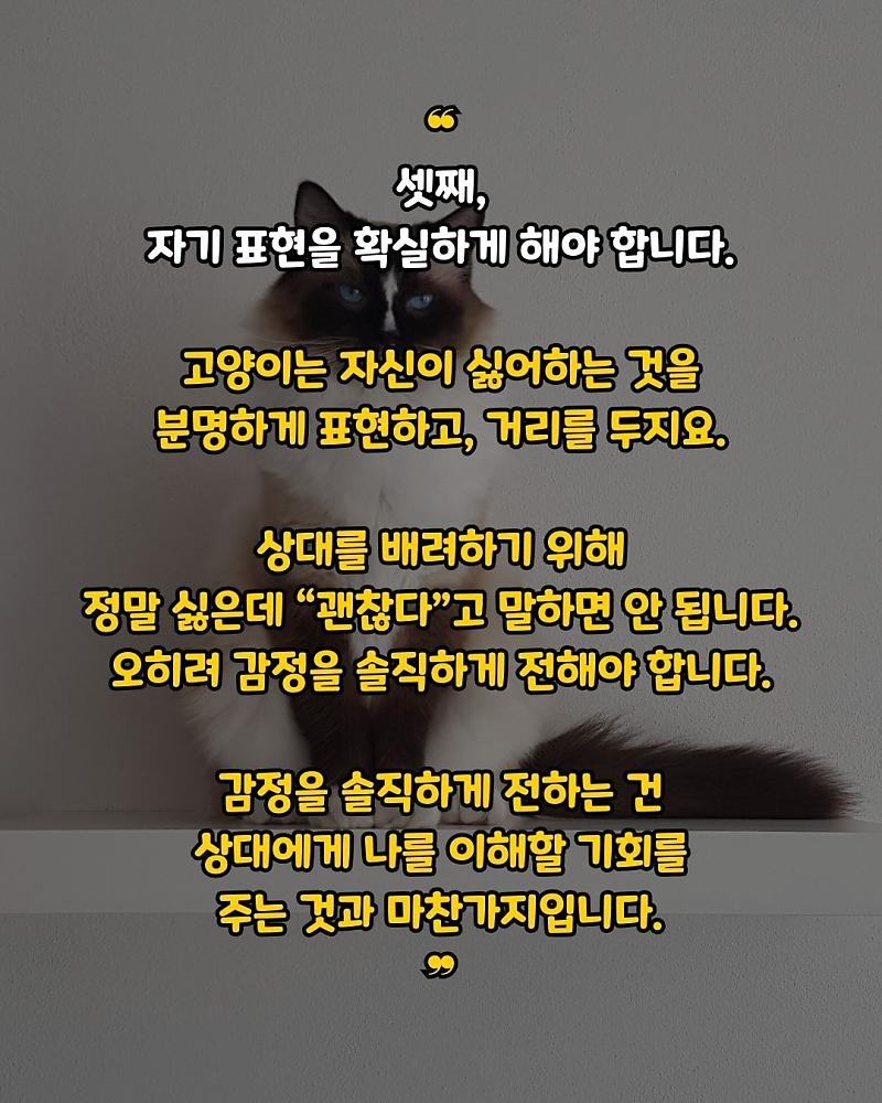 굿밤 ~인간관계는 양이 처럼!!