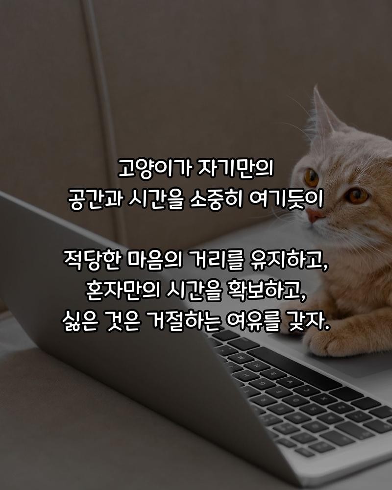 굿밤 ~인간관계는 양이 처럼!!