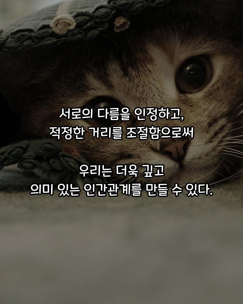 굿밤 ~인간관계는 양이 처럼!!