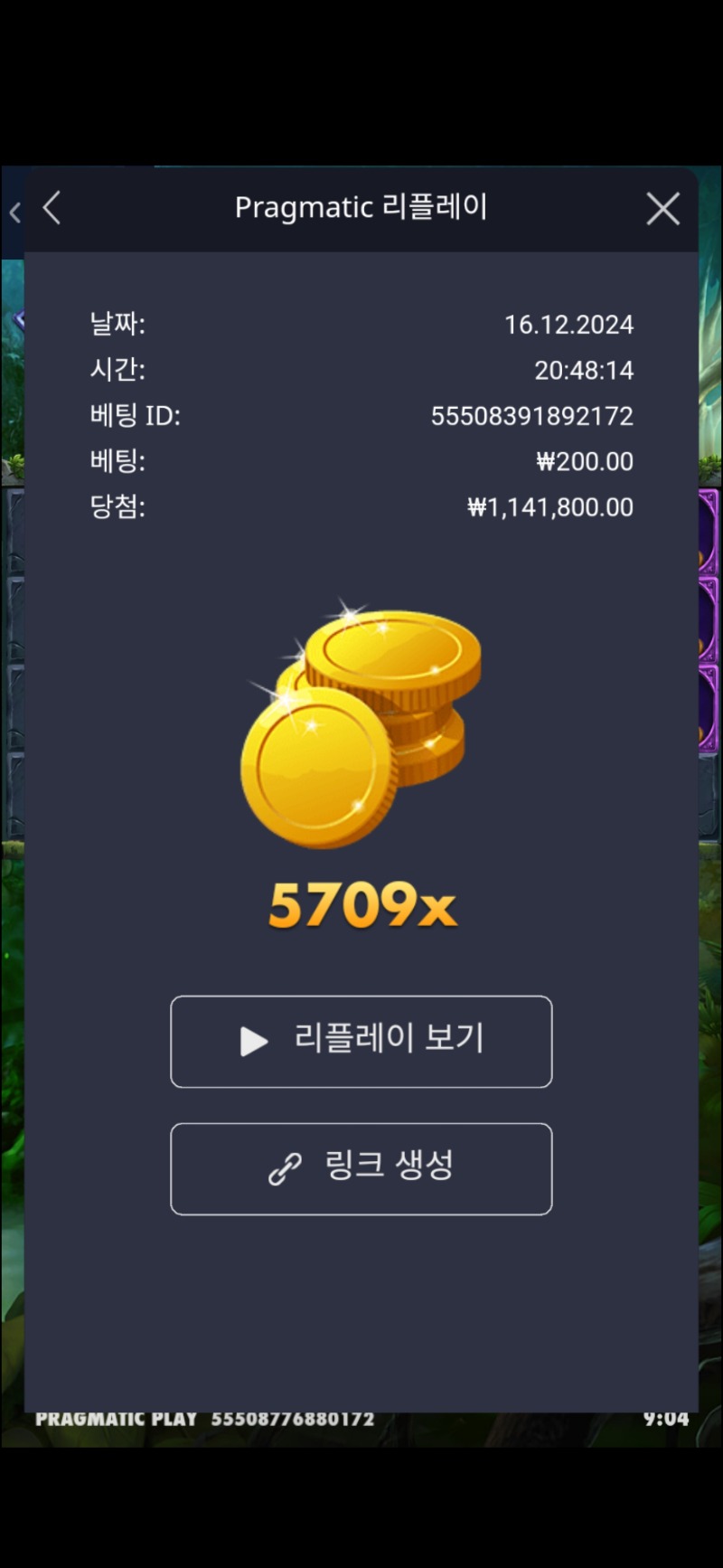 멀린 5709배