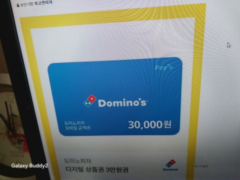 양이님 피자당첨