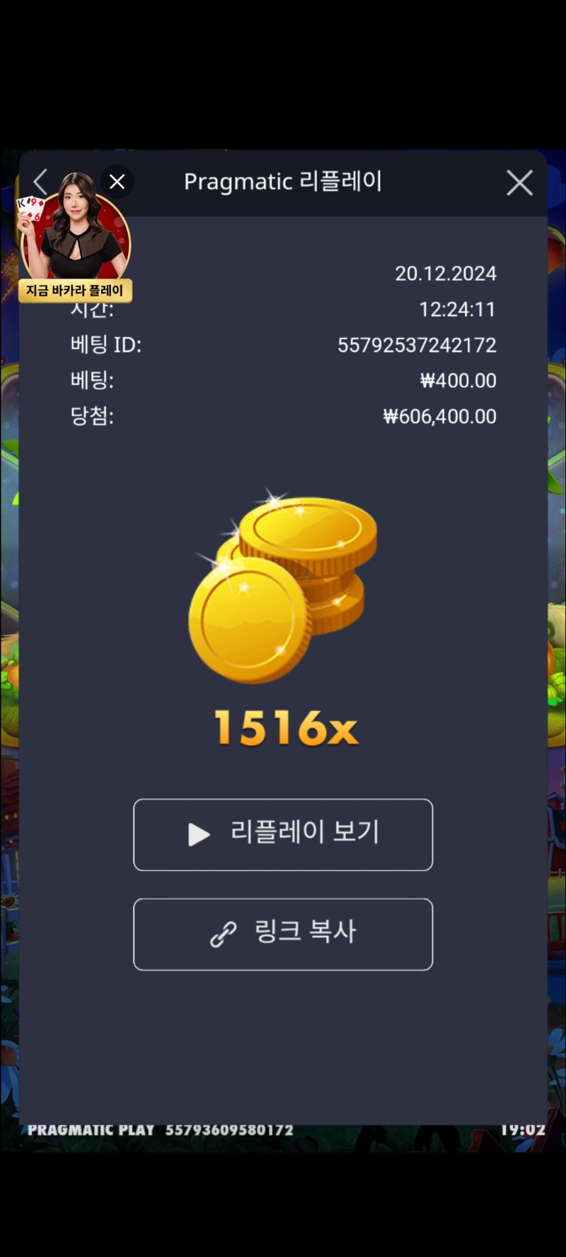 반페 1516배