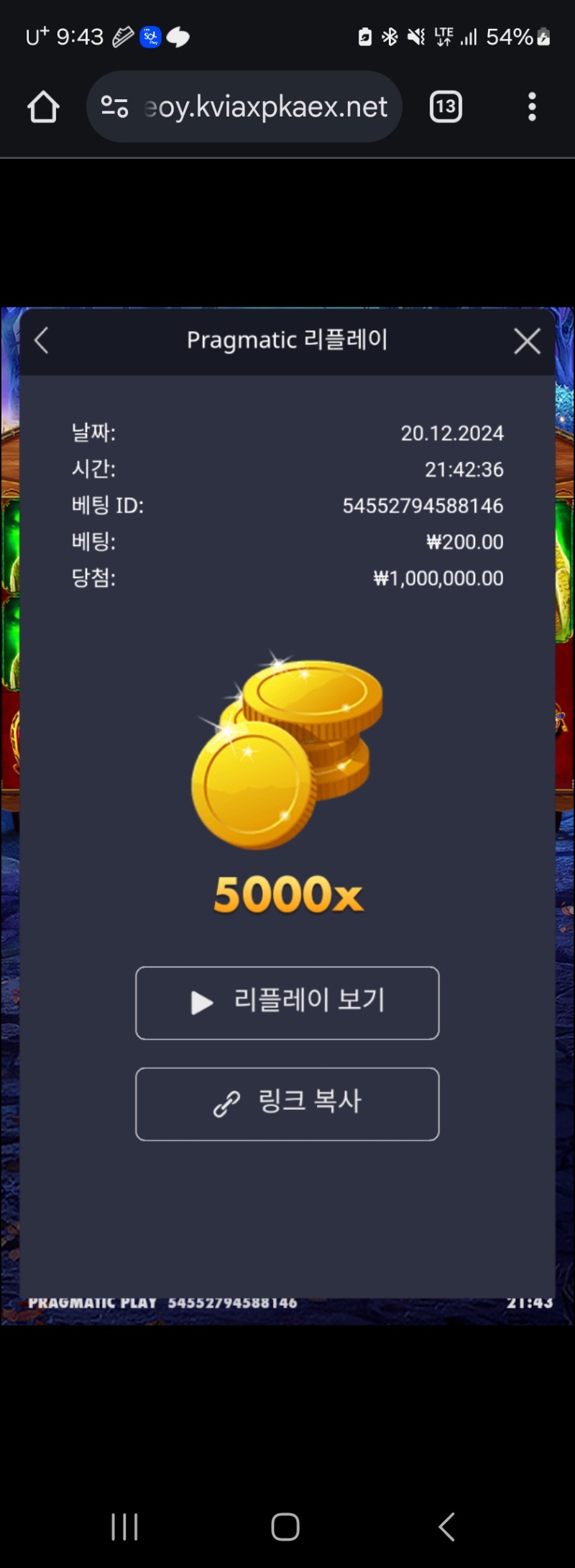 마담5000배