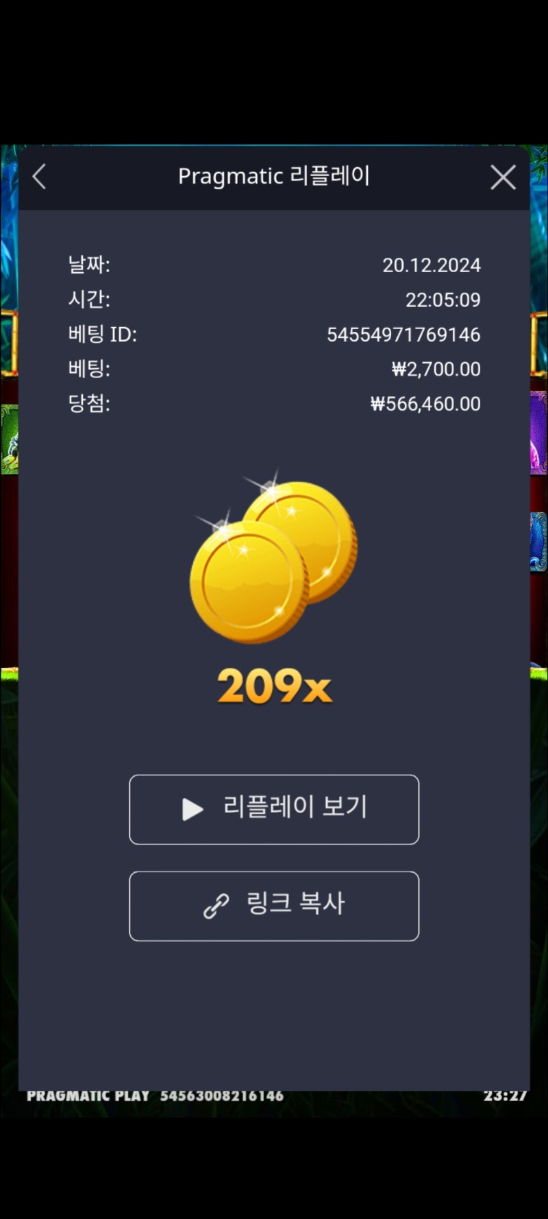 판다1. 209배