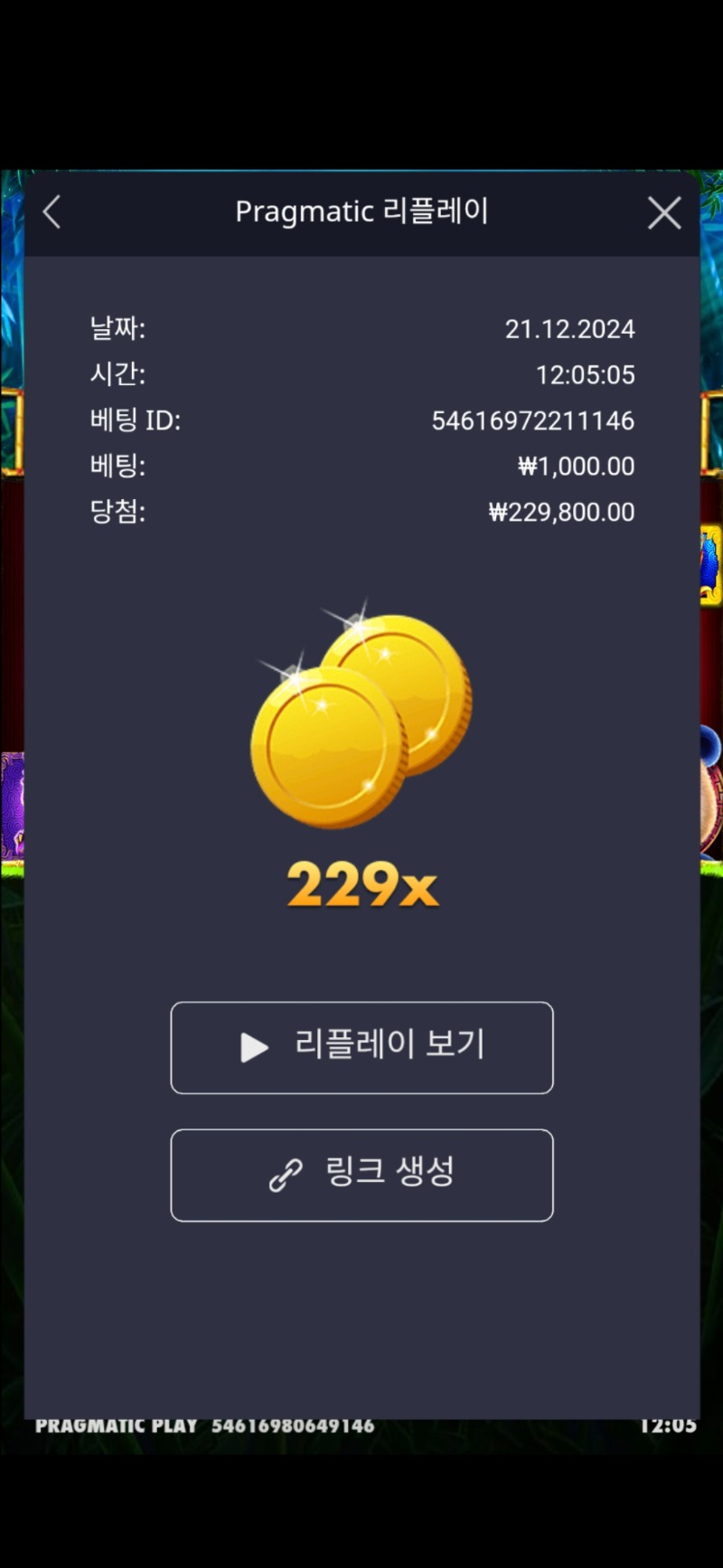 판다229배