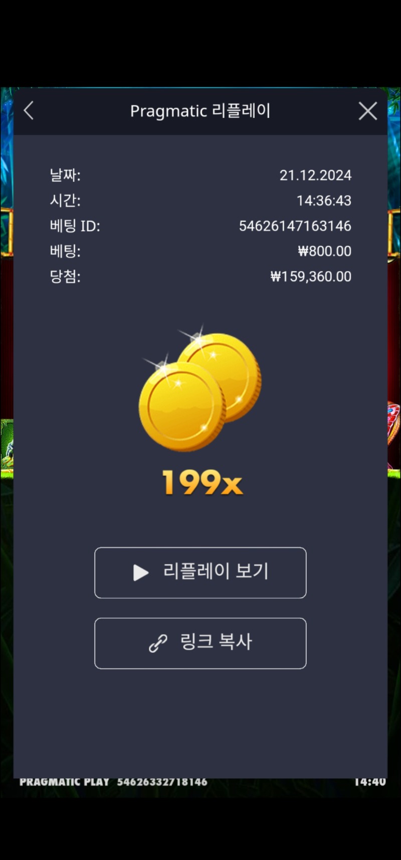 판다1  199