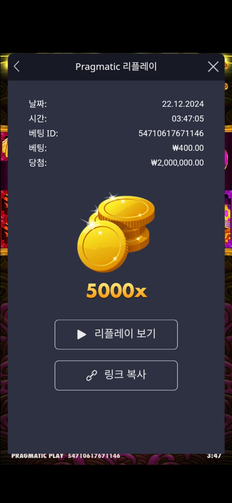 토라메 5000배